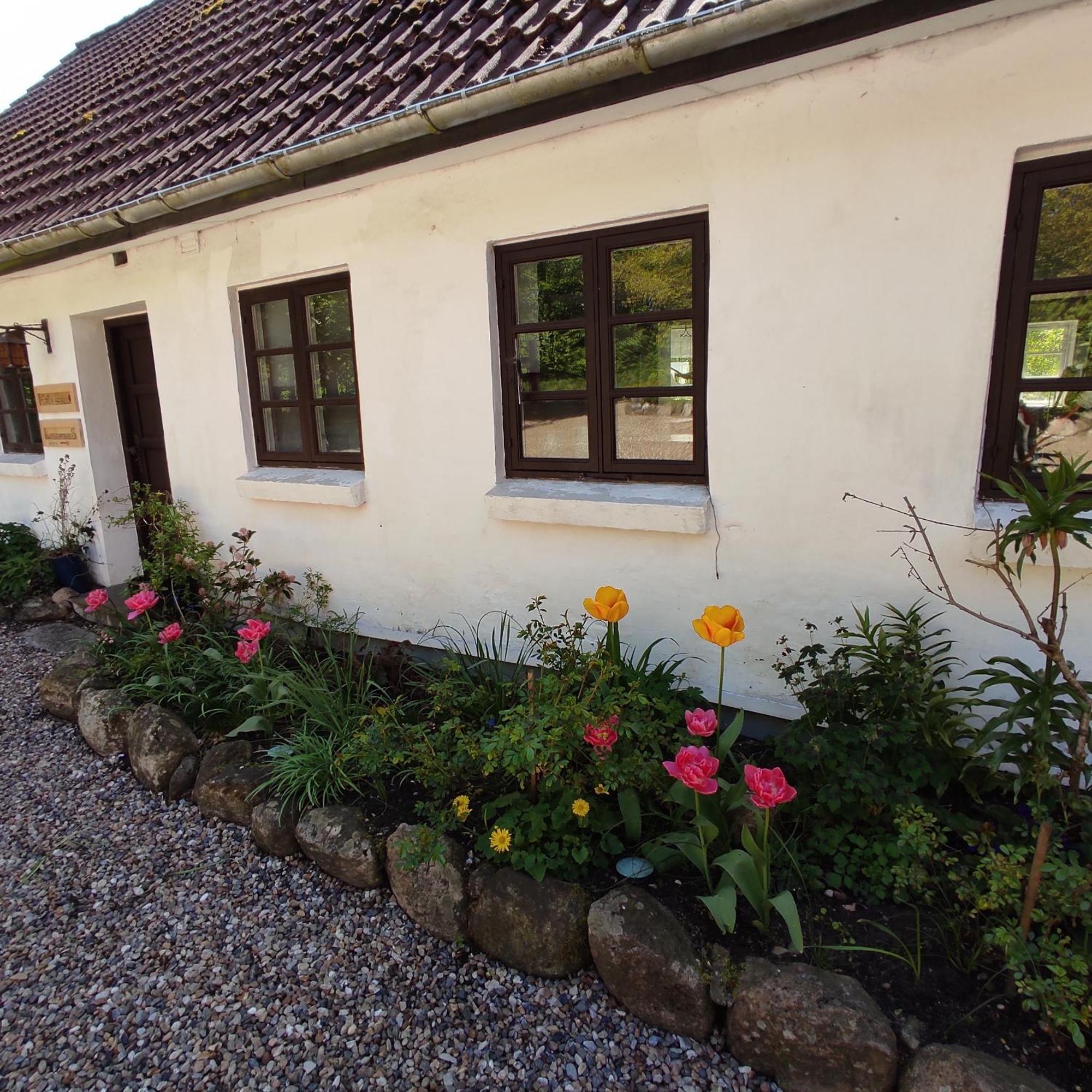 Bed and Breakfast Emily'S Garden Lintrup Exterior foto